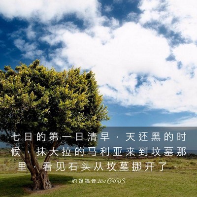Picture 03 - 约 翰 福 音 20:1 CUVS - 七 日 的 第 一 日 清 早 ， 天 还 黑 - Bible Verse Picture
