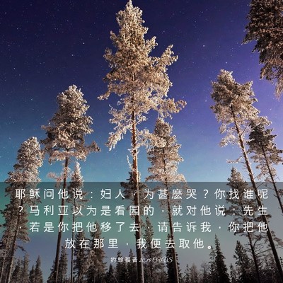 Picture 03 - 约 翰 福 音 20:15 CUVS - 耶 稣 问 他 说 ： 妇 人 ， 为 甚 麽 - Bible Verse Picture