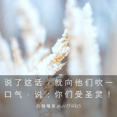 Picture 03 - 约 翰 福 音 20:22 CUVS - 说 了 这 话 ， 就 向 他 们 吹 一 口 - Bible Verse Picture