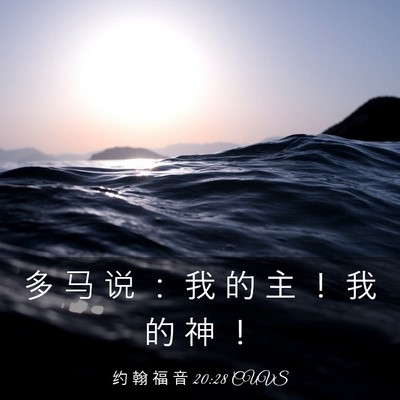 Picture 03 - 约 翰 福 音 20:28 CUVS - 多 马 说 ： 我 的 主 ！ 我 的 神 - Bible Verse Picture