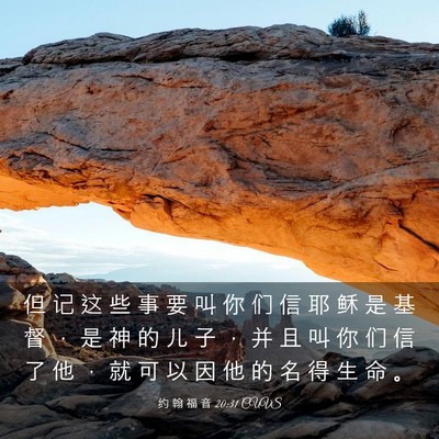 Picture 03 - 约 翰 福 音 20:31 CUVS - 但 记 这 些 事 要 叫 你 们 信 耶 稣 - Bible Verse Picture