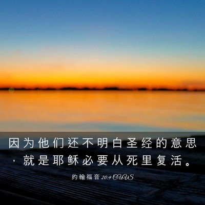 Picture 03 - 约 翰 福 音 20:9 CUVS - 因 为 他 们 还 不 明 白 圣 经 的 意 - Bible Verse Picture