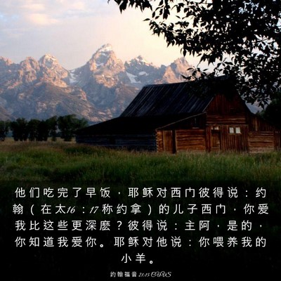 Picture 03 - 约 翰 福 音 21:15 CUVS - 他 们 吃 完 了 早 饭 ， 耶 稣 对 西 - Bible Verse Picture