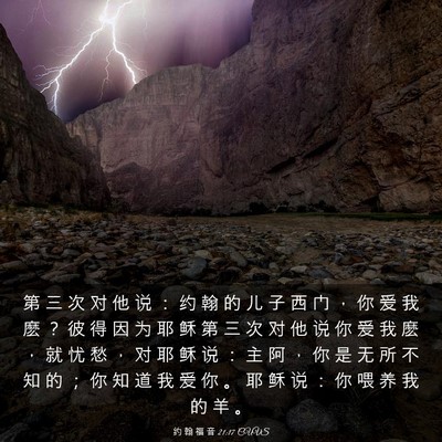 Picture 03 - 约 翰 福 音 21:17 CUVS - 第 三 次 对 他 说 ： 约 翰 的 儿 子 - Bible Verse Picture