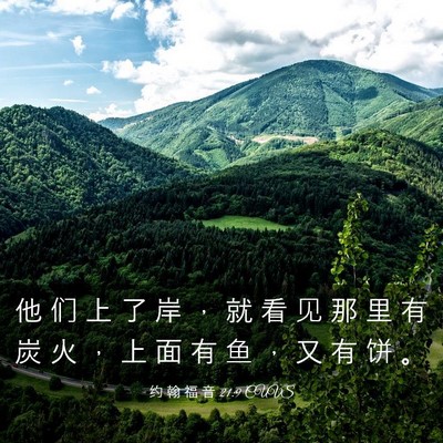 Picture 03 - 约 翰 福 音 21:9 CUVS - 他 们 上 了 岸 ， 就 看 见 那 里 有 - Bible Verse Picture