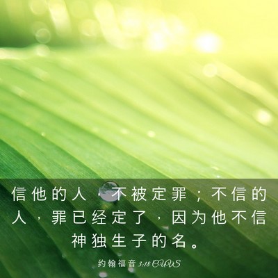 Picture 03 - 约 翰 福 音 3:18 CUVS - 信 他 的 人 ， 不 被 定 罪 ； 不 信 - Bible Verse Picture