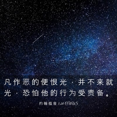 Picture 03 - 约 翰 福 音 3:20 CUVS - 凡 作 恶 的 便 恨 光 ， 并 不 来 就 - Bible Verse Picture