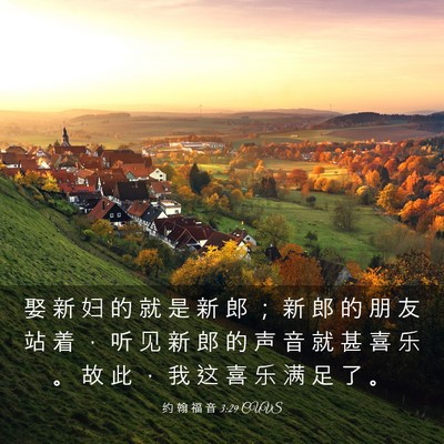 Picture 03 - 约 翰 福 音 3:29 CUVS - 娶 新 妇 的 就 是 新 郎 ； 新 郎 的 - Bible Verse Picture