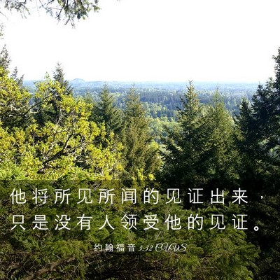 Picture 03 - 约 翰 福 音 3:32 CUVS - 他 将 所 见 所 闻 的 见 证 出 来 ， - Bible Verse Picture