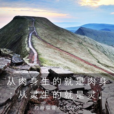 Picture 03 - 约 翰 福 音 3:6 CUVS - 从 肉 身 生 的 就 是 肉 身 ； 从 灵 - Bible Verse Picture