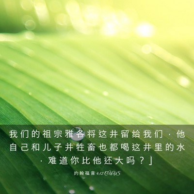 Picture 03 - 约 翰 福 音 4:12 CUVS - 我 们 的 祖 宗 雅 各 将 这 井 留 给 - Bible Verse Picture