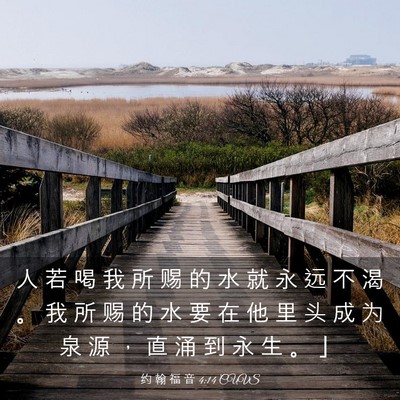 Picture 03 - 约 翰 福 音 4:14 CUVS - 人 若 喝 我 所 赐 的 水 就 永 远 不 - Bible Verse Picture