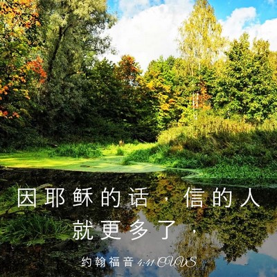 Picture 03 - 约 翰 福 音 4:41 CUVS - 因 耶 稣 的 话 ， 信 的 人 就 更 多 - Bible Verse Picture