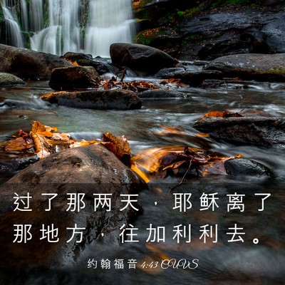 Picture 03 - 约 翰 福 音 4:43 CUVS - 过 了 那 两 天 ， 耶 稣 离 了 那 地 - Bible Verse Picture