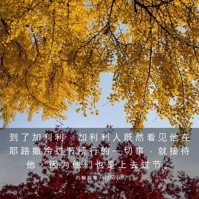 Picture 03 - 约 翰 福 音 4:45 CUVS - 到 了 加 利 利 ， 加 利 利 人 既 然 - Bible Verse Picture