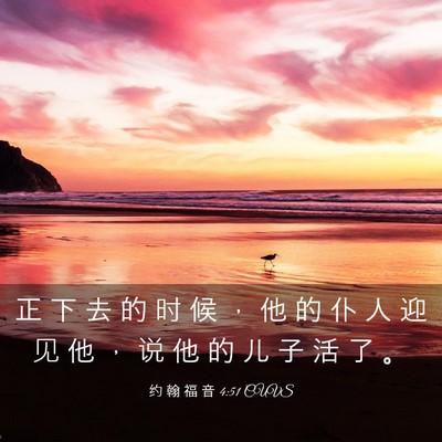 Picture 03 - 约 翰 福 音 4:51 CUVS - 正 下 去 的 时 候 ， 他 的 仆 人 迎 - Bible Verse Picture