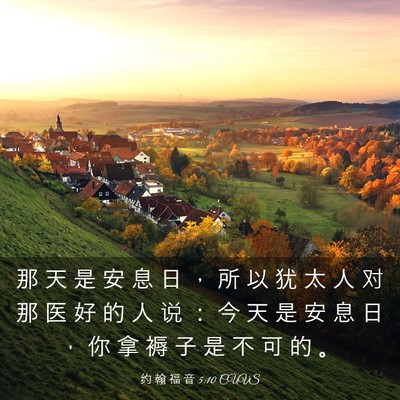 Picture 03 - 约 翰 福 音 5:10 CUVS - 那 天 是 安 息 日 ， 所 以 犹 太 人 - Bible Verse Picture