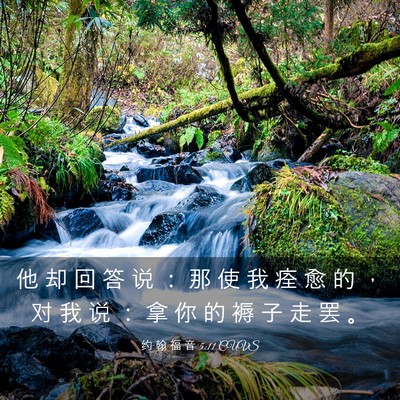 Picture 03 - 约 翰 福 音 5:11 CUVS - 他 却 回 答 说 ： 那 使 我 痊 愈 的 - Bible Verse Picture