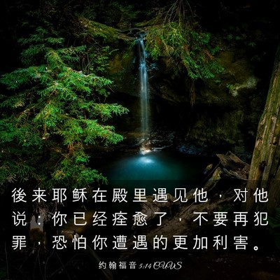 Picture 03 - 约 翰 福 音 5:14 CUVS - 後 来 耶 稣 在 殿 里 遇 见 他 ， 对 - Bible Verse Picture