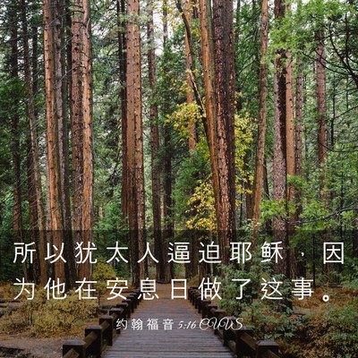 Picture 03 - 约 翰 福 音 5:16 CUVS - 所 以 犹 太 人 逼 迫 耶 稣 ， 因 为 - Bible Verse Picture