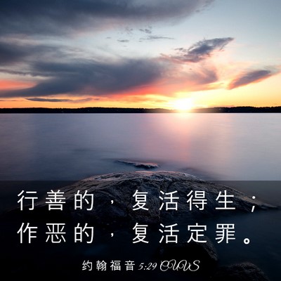 Picture 03 - 约 翰 福 音 5:29 CUVS - 行 善 的 ， 复 活 得 生 ； 作 恶 的 - Bible Verse Picture