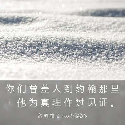 Picture 03 - 约 翰 福 音 5:33 CUVS - 你 们 曾 差 人 到 约 翰 那 里 ， 他 - Bible Verse Picture