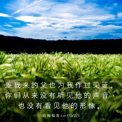 Picture 03 - 约 翰 福 音 5:37 CUVS - 差 我 来 的 父 也 为 我 作 过 见 证 - Bible Verse Picture