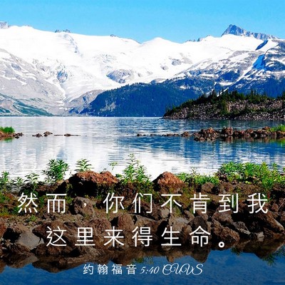 Picture 03 - 约 翰 福 音 5:40 CUVS - 然 而 ， 你 们 不 肯 到 我 这 里 来 - Bible Verse Picture