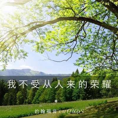 Picture 03 - 约 翰 福 音 5:41 CUVS - 我 不 受 从 人 来 的 荣 耀 - Bible Verse Picture