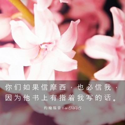 Picture 03 - 约 翰 福 音 5:46 CUVS - 你 们 如 果 信 摩 西 ， 也 必 信 我 - Bible Verse Picture