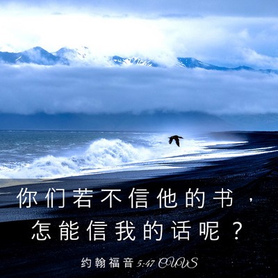Picture 03 - 约 翰 福 音 5:47 CUVS - 你 们 若 不 信 他 的 书 ， 怎 能 信 - Bible Verse Picture