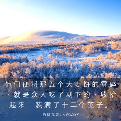 Picture 03 - 约 翰 福 音 6:13 CUVS - 他 们 便 将 那 五 个 大 麦 饼 的 零 - Bible Verse Picture