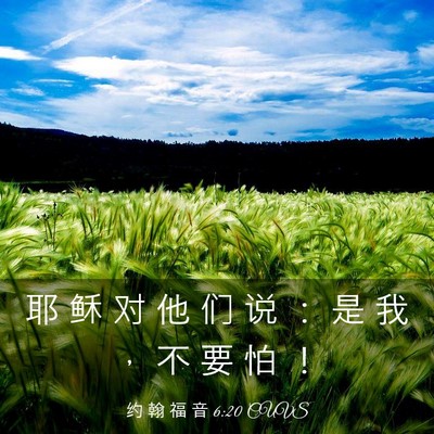 Picture 03 - 约 翰 福 音 6:20 CUVS - 耶 稣 对 他 们 说 ： 是 我 ， 不 要 - Bible Verse Picture