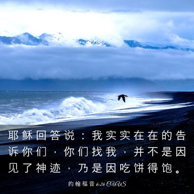 Picture 03 - 约 翰 福 音 6:26 CUVS - 耶 稣 回 答 说 ： 我 实 实 在 在 的 - Bible Verse Picture