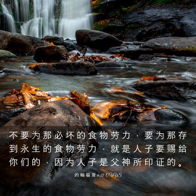 Picture 03 - 约 翰 福 音 6:27 CUVS - 不 要 为 那 必 坏 的 食 物 劳 力 ， - Bible Verse Picture