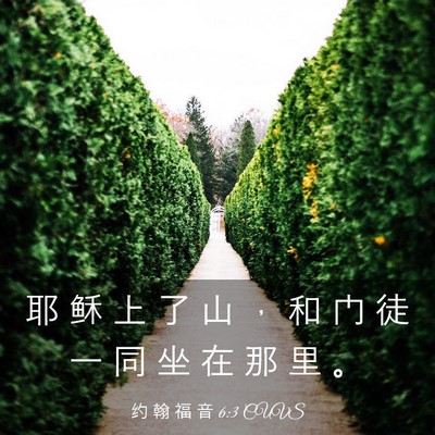 Picture 03 - 约 翰 福 音 6:3 CUVS - 耶 稣 上 了 山 ， 和 门 徒 一 同 坐 - Bible Verse Picture
