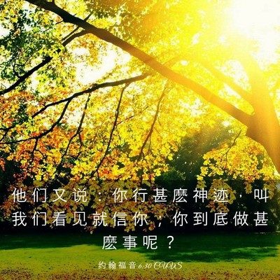 Picture 03 - 约 翰 福 音 6:30 CUVS - 他 们 又 说 ： 你 行 甚 麽 神 迹 ， - Bible Verse Picture