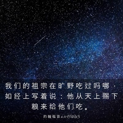 Picture 03 - 约 翰 福 音 6:31 CUVS - 我 们 的 祖 宗 在 旷 野 吃 过 吗 哪 - Bible Verse Picture