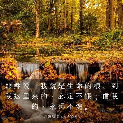 Picture 03 - 约 翰 福 音 6:35 CUVS - 耶 稣 说 ： 我 就 是 生 命 的 粮 。 - Bible Verse Picture