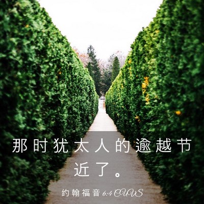 Picture 03 - 约 翰 福 音 6:4 CUVS - 那 时 犹 太 人 的 逾 越 节 近 了 - Bible Verse Picture