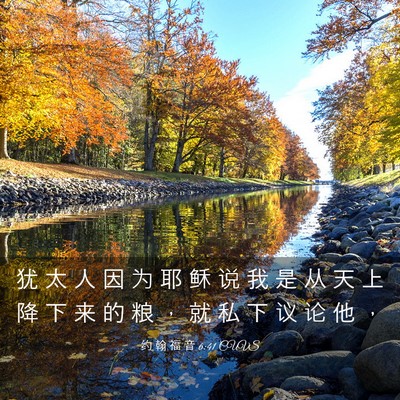 Picture 03 - 约 翰 福 音 6:41 CUVS - 犹 太 人 因 为 耶 稣 说 我 是 从 天 - Bible Verse Picture