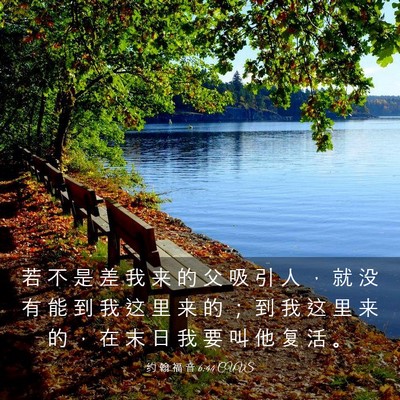 Picture 03 - 约 翰 福 音 6:44 CUVS - 若 不 是 差 我 来 的 父 吸 引 人 ， - Bible Verse Picture