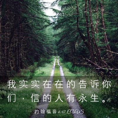 Picture 03 - 约 翰 福 音 6:47 CUVS - 我 实 实 在 在 的 告 诉 你 们 ， 信 - Bible Verse Picture