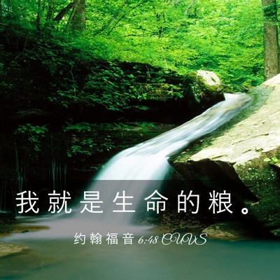 Picture 03 - 约 翰 福 音 6:48 CUVS - 我 就 是 生 命 的 粮 - Bible Verse Picture