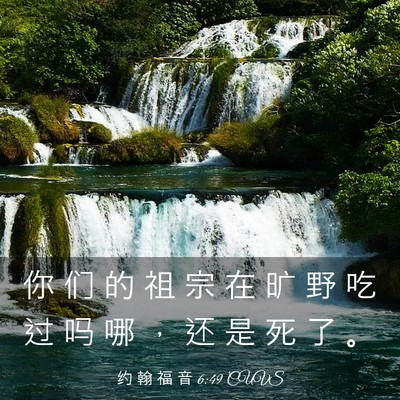Picture 03 - 约 翰 福 音 6:49 CUVS - 你 们 的 祖 宗 在 旷 野 吃 过 吗 哪 - Bible Verse Picture