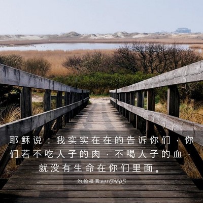 Picture 03 - 约 翰 福 音 6:53 CUVS - 耶 稣 说 ： 我 实 实 在 在 的 告 诉 - Bible Verse Picture
