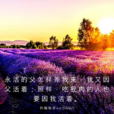 Picture 03 - 约 翰 福 音 6:57 CUVS - 永 活 的 父 怎 样 差 我 来 ， 我 又 - Bible Verse Picture