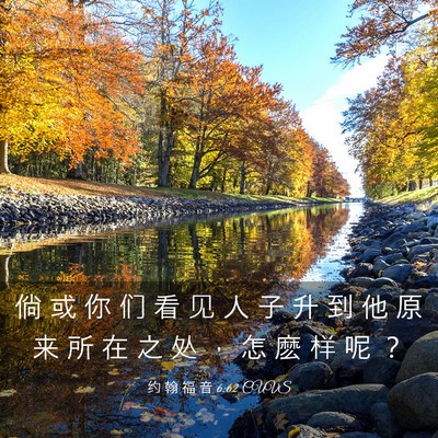 Picture 03 - 约 翰 福 音 6:62 CUVS - 倘 或 你 们 看 见 人 子 升 到 他 原 - Bible Verse Picture