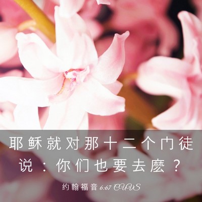 Picture 03 - 约 翰 福 音 6:67 CUVS - 耶 稣 就 对 那 十 二 个 门 徒 说 ： - Bible Verse Picture