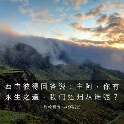 Picture 03 - 约 翰 福 音 6:68 CUVS - 西 门 彼 得 回 答 说 ： 主 阿 ， 你 - Bible Verse Picture